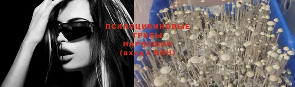 ALPHA-PVP Новозыбков